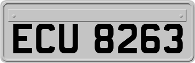 ECU8263