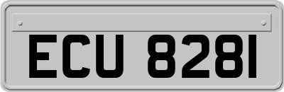 ECU8281