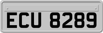 ECU8289