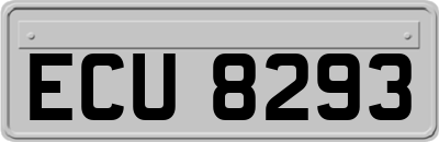 ECU8293