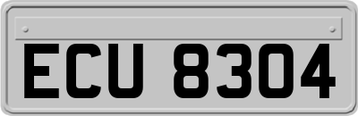 ECU8304