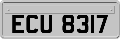 ECU8317
