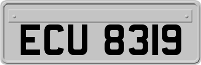 ECU8319