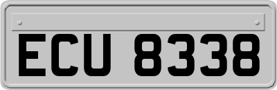ECU8338