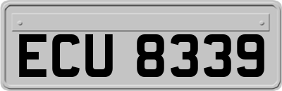 ECU8339