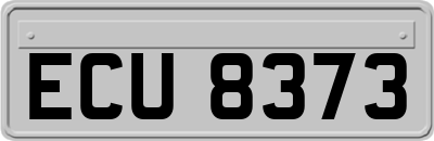 ECU8373