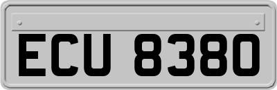 ECU8380