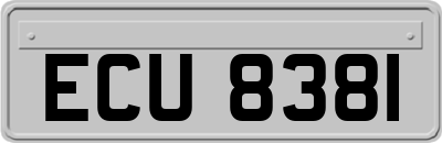 ECU8381