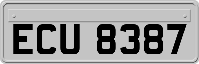 ECU8387
