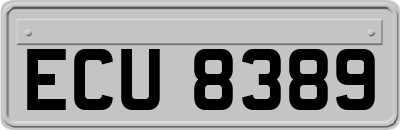 ECU8389