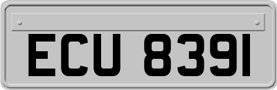 ECU8391