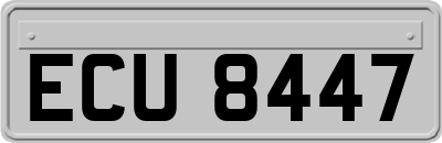 ECU8447