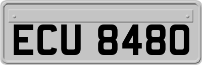 ECU8480