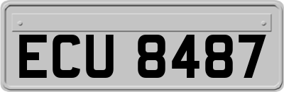ECU8487