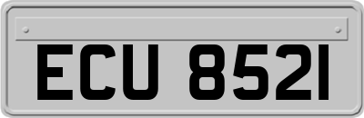 ECU8521