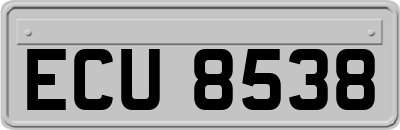ECU8538