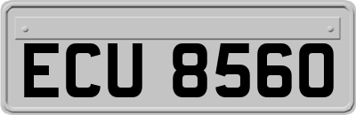 ECU8560