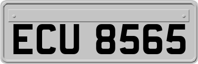ECU8565