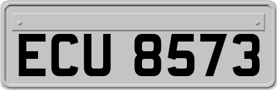 ECU8573