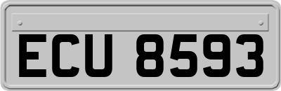 ECU8593