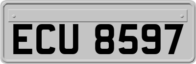 ECU8597