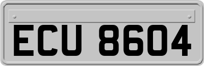 ECU8604