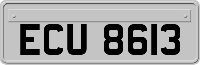 ECU8613