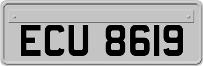 ECU8619