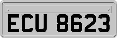 ECU8623