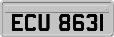 ECU8631