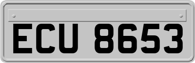 ECU8653