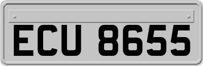 ECU8655