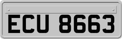 ECU8663
