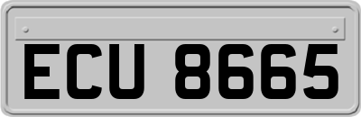 ECU8665