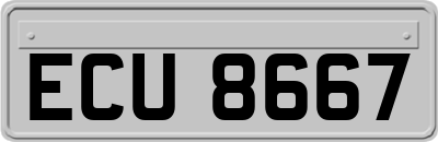 ECU8667