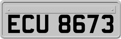 ECU8673