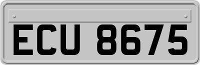 ECU8675