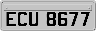 ECU8677