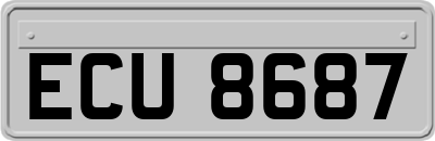 ECU8687
