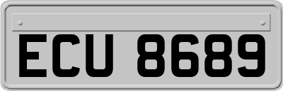 ECU8689