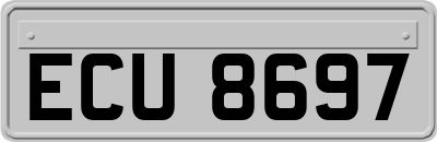 ECU8697