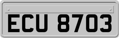 ECU8703