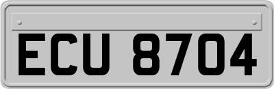 ECU8704