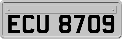 ECU8709
