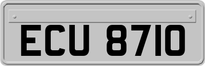 ECU8710
