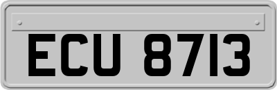 ECU8713