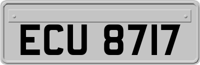ECU8717