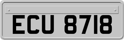 ECU8718