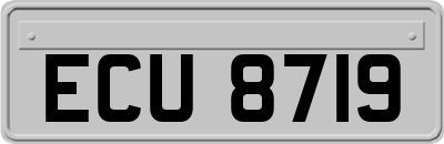 ECU8719