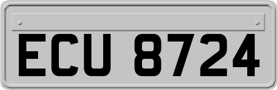 ECU8724